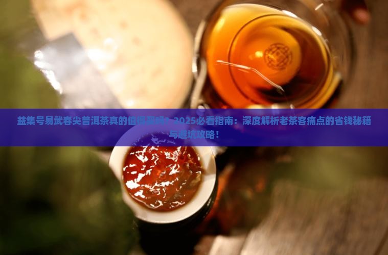 益集号易武春尖普洱茶
