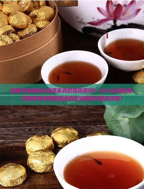 益集号易武春尖普洱茶