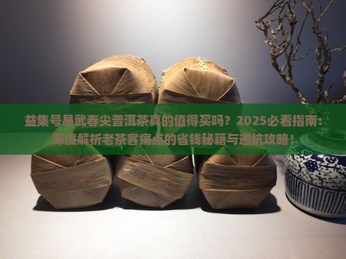 益集号易武春尖普洱茶
