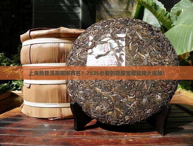 上海熟普洱茶哪家有名