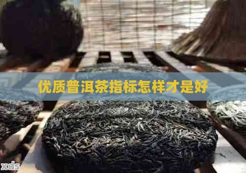 优质普洱茶指标