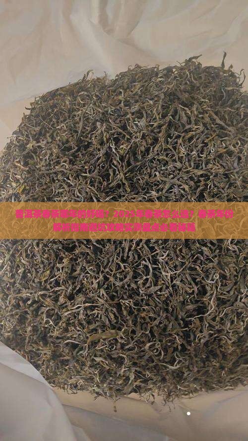 普洱茶春茶哪年的好喝