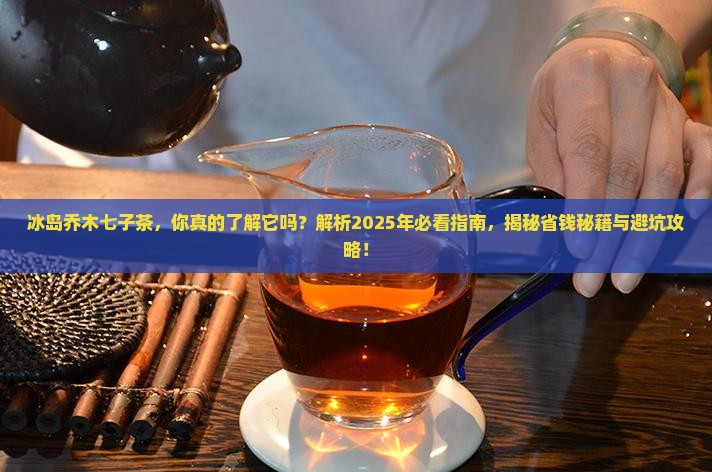 冰岛乔木七子茶