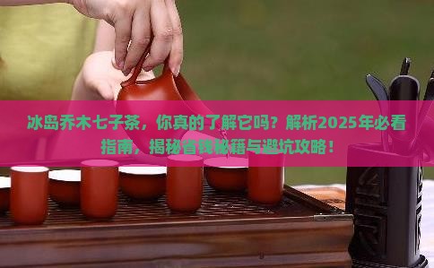 冰岛乔木七子茶