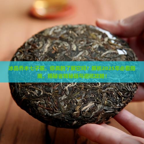 冰岛乔木七子茶