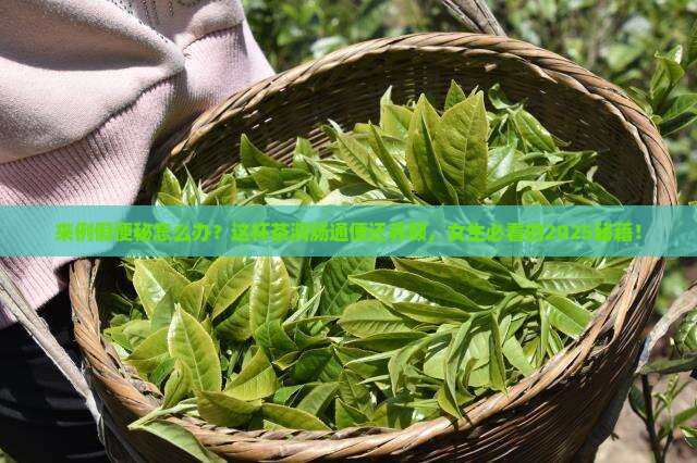 来例假可以喝什么茶润肠通便