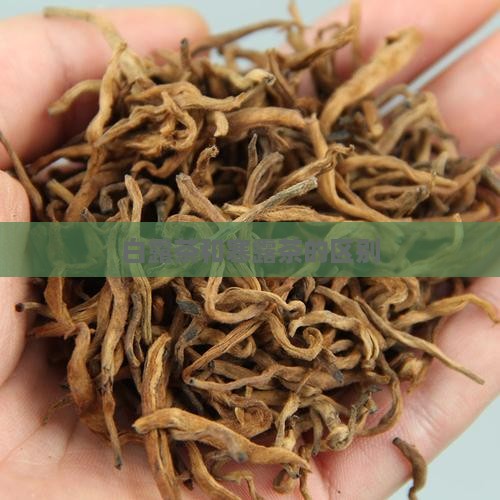 白露茶和寒露茶的区别