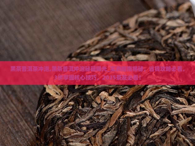 黑茶普洱茶冲泡 黑茶普洱茶冲泡