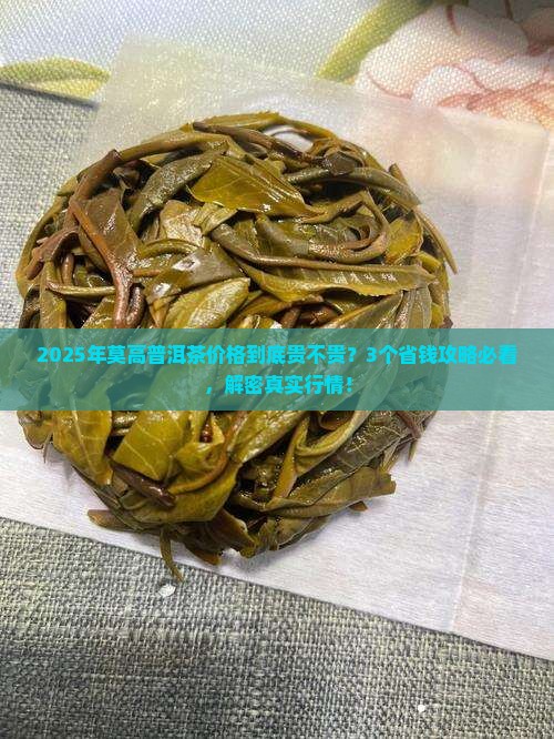 莫高普洱茶价格