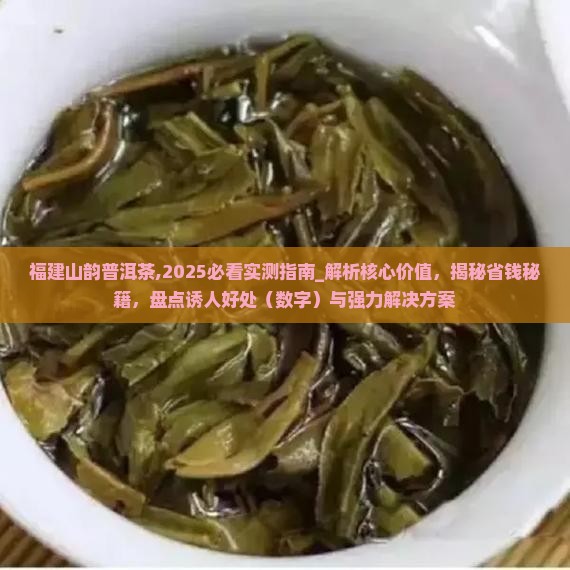福建山韵普洱茶