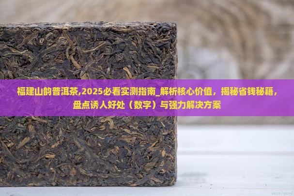福建山韵普洱茶
