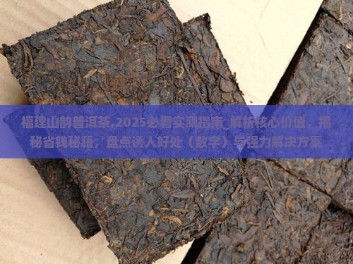 福建山韵普洱茶