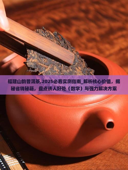 福建山韵普洱茶