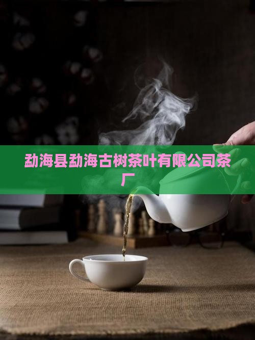 勐海古树茶叶勐海古茶源茶厂