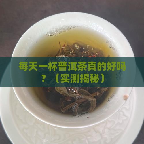 天天喝很多普洱茶
