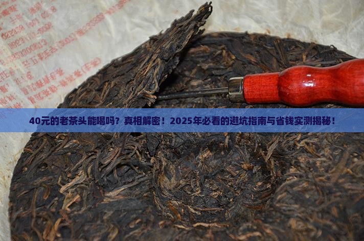 40元的老茶头能喝吗