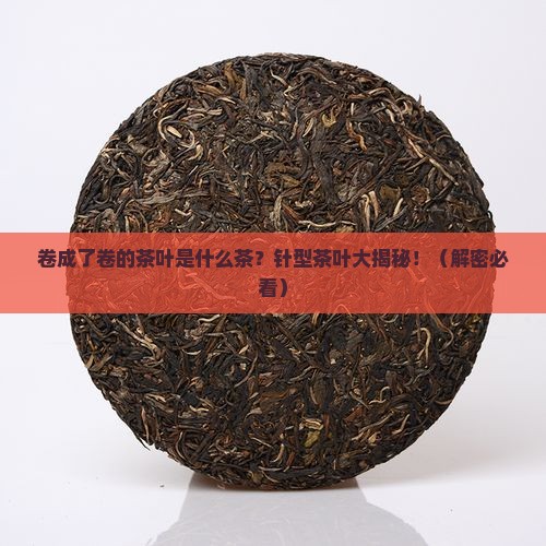 卷成了卷的茶叶是什么茶针型茶叶