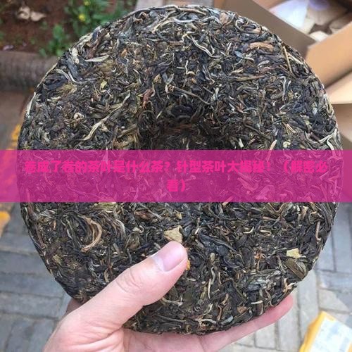 卷成了卷的茶叶是什么茶针型茶叶