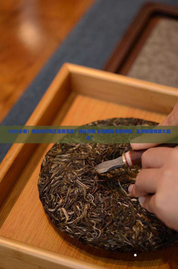 老白茶好喝还是普洱茶