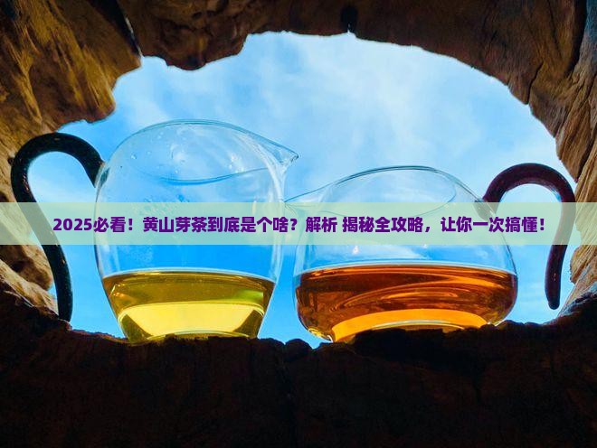 黄山芽茶叶是什么茶