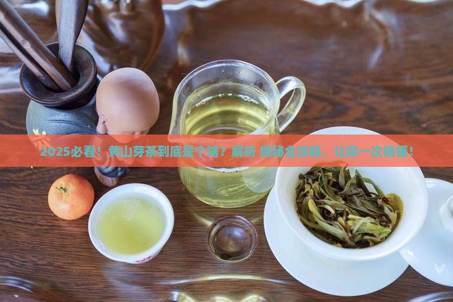 黄山芽茶叶是什么茶