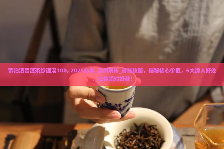 帝泊洱普洱茶珍速溶100
