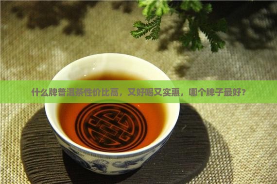 什么牌普洱茶性价比高