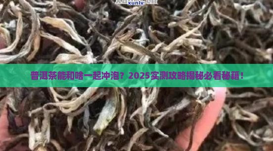 普洱茶能和啥一起冲泡