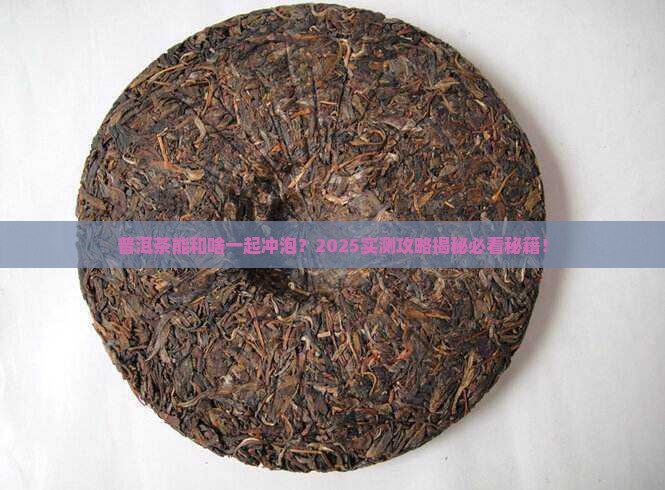 普洱茶能和啥一起冲泡