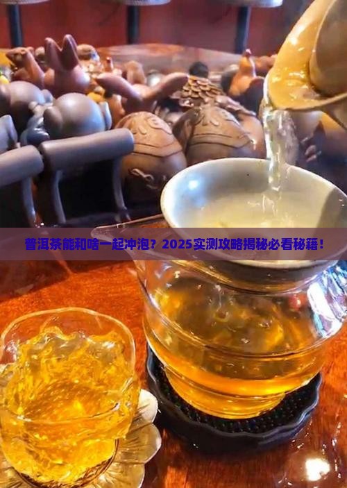 普洱茶能和啥一起冲泡
