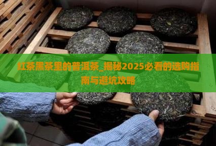 红茶黑茶里的普洱茶