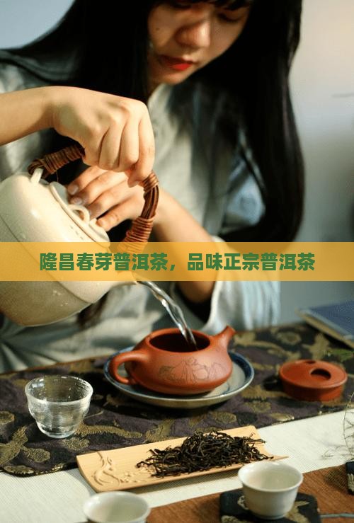 隆昌春芽普洱茶