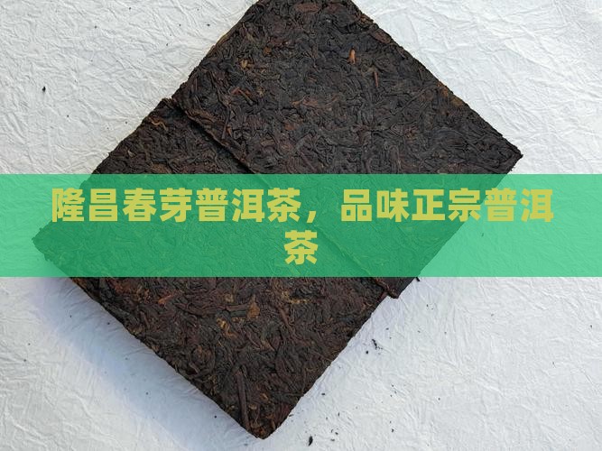 隆昌春芽普洱茶