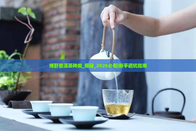 博野普洱茶种类
