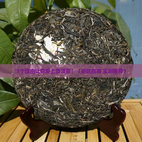 茶艺师普洱茶推荐哪种