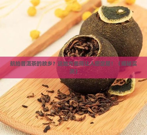 航拍普洱茶的故乡