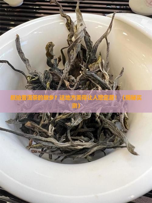 航拍普洱茶的故乡