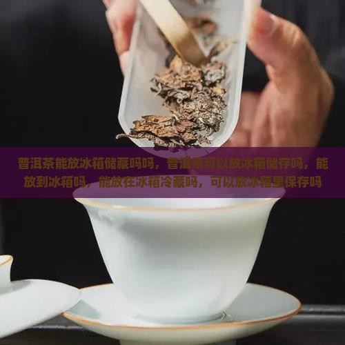 普洱茶能放冰箱储藏吗吗