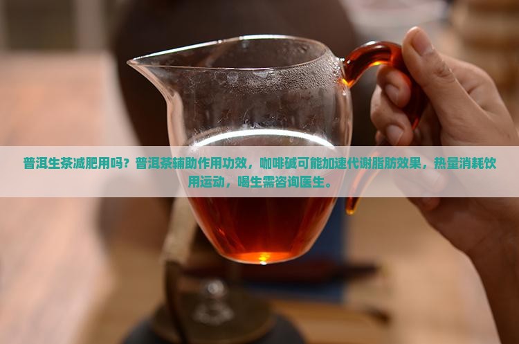 普洱生茶有减肥作用吗
