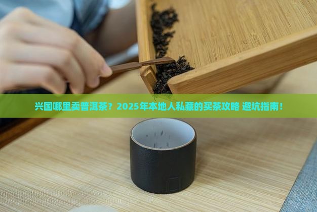 兴国哪里卖普洱茶