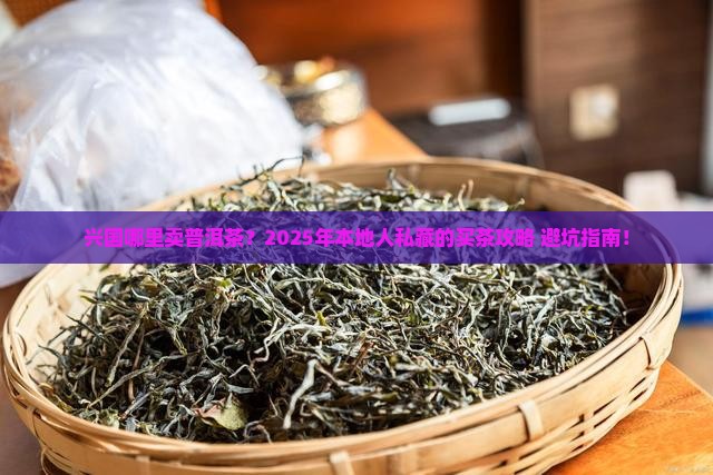 兴国哪里卖普洱茶