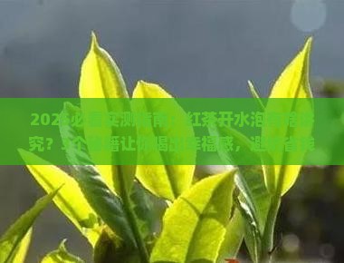 红茶可以开水泡吗