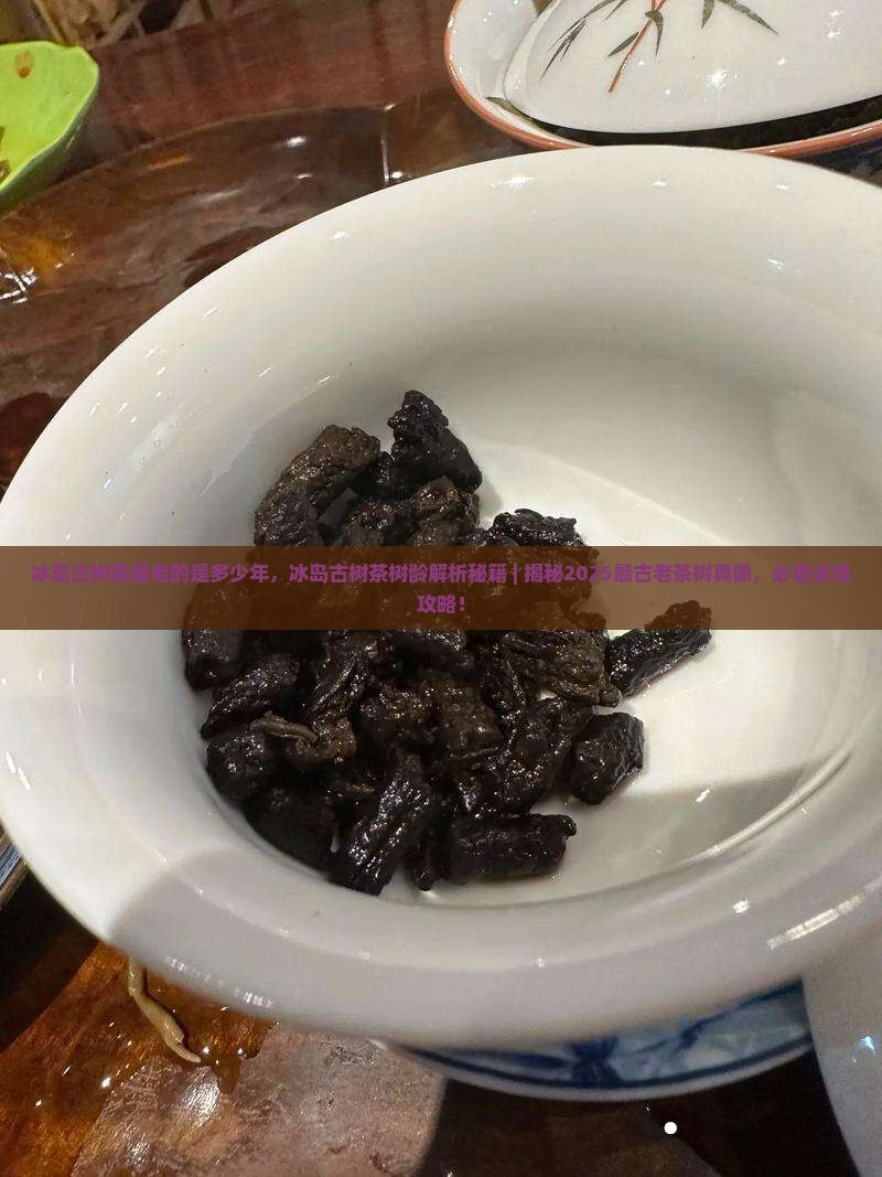 冰岛古树茶最老的是多少年