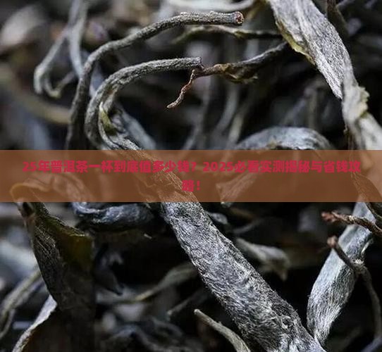 25年的普洱茶多少钱一杯