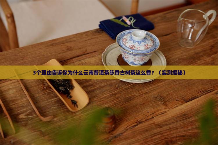 云南普洱茶陈香古树茶