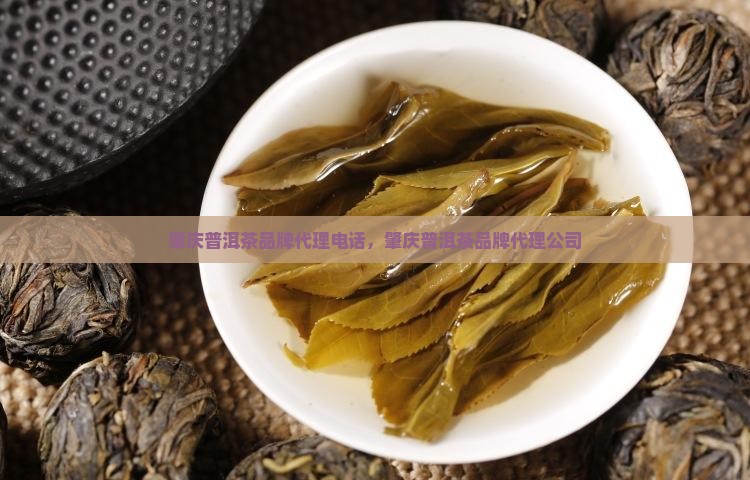 肇庆普洱茶品牌代理