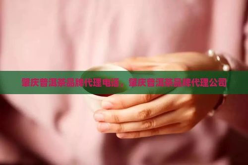 肇庆普洱茶品牌代理