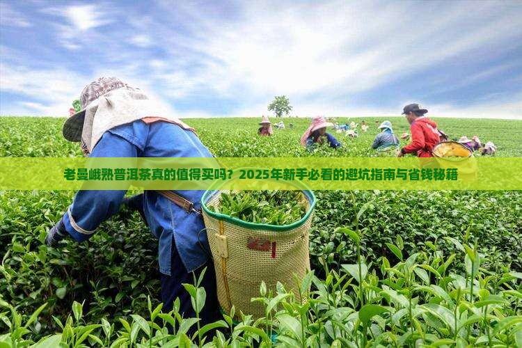 老曼峨熟普洱茶
