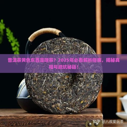 普洱茶黄色东西是啥茶