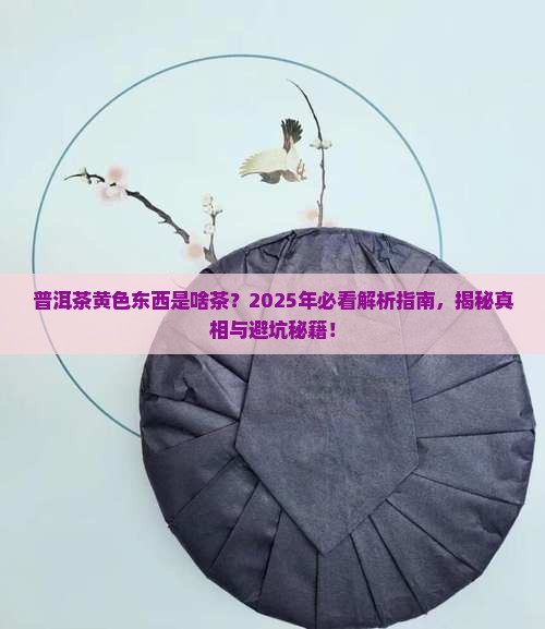 普洱茶黄色东西是啥茶